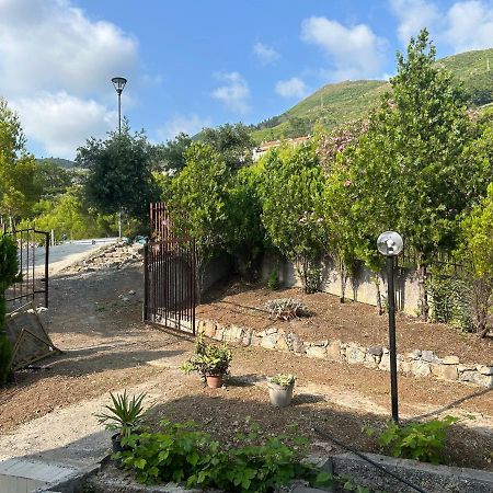 Villa Loren Praia a Mare Dış mekan fotoğraf