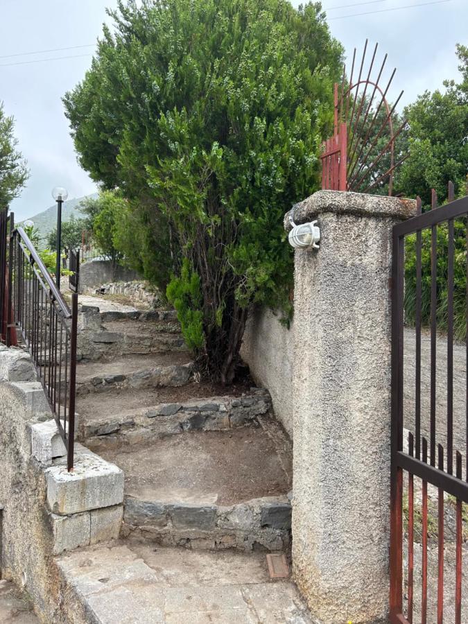 Villa Loren Praia a Mare Dış mekan fotoğraf