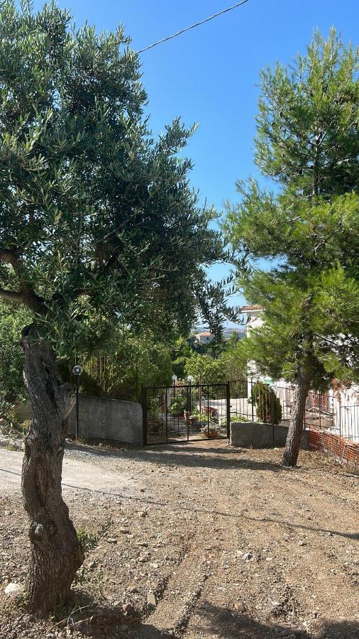 Villa Loren Praia a Mare Dış mekan fotoğraf
